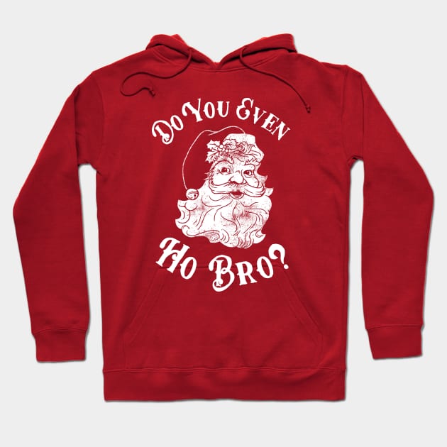 Do You Even Ho Bro Hoodie by dumbshirts